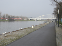 907451 Gezicht over de Rooseveltboulevard te Utrecht, met op de achtergrond de De Meernbrug over het Amsterdam-Rijnkanaal.